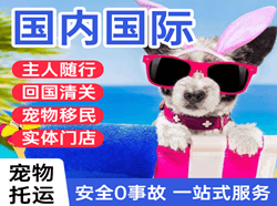 白莲航空快运国际宠物托运 【国
